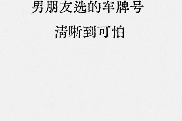 选个安装车牌吉日  给爱车上好牌