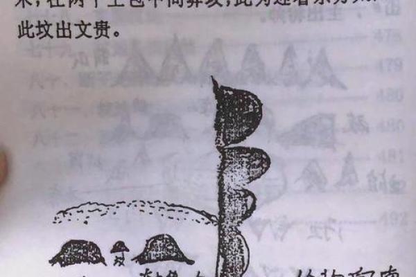 蛟龙风水学