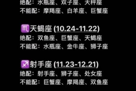 十二星座哪个星座和射手座最配