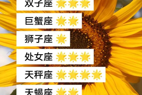 六月星座运势陶