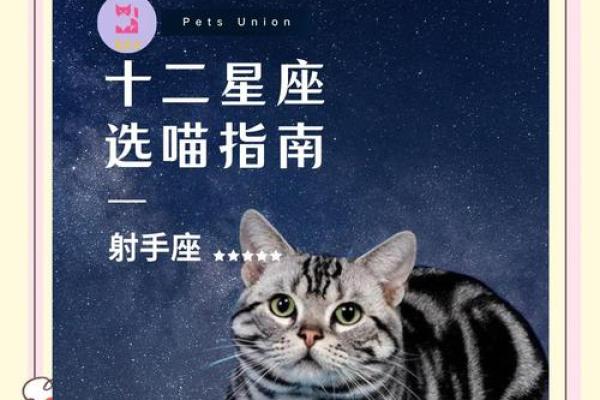 12星座射手座适合养什么猫
