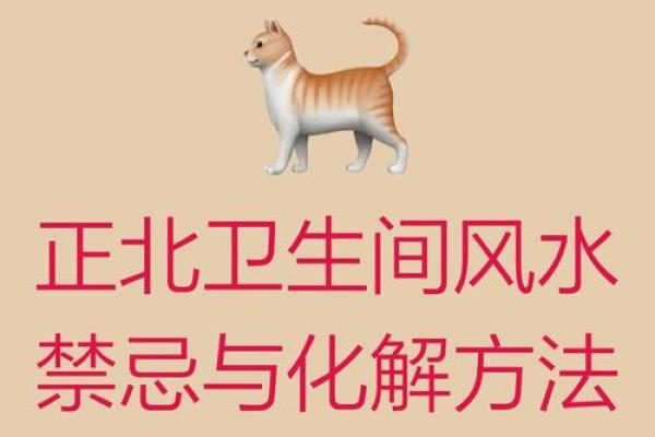 风水知识-最全的厕所风水禁忌