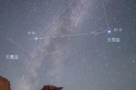 牛郎织女分别指哪两个星座女