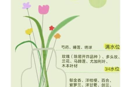 园林风水_家居养花有哪些禁忌