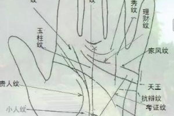 风水川字掌手相男人的命运解析