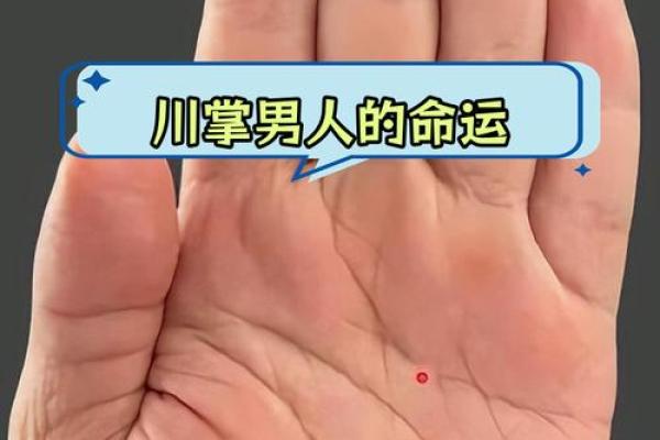 风水川字掌手相男人的命运解析