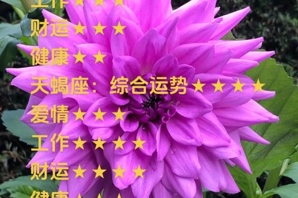 天秤星座运势一周最新