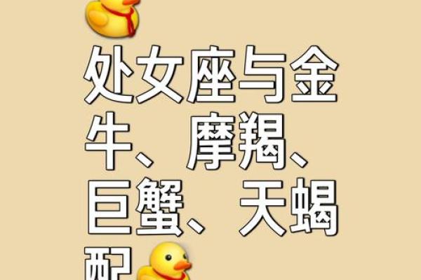 处女座与哪个星座比较相配