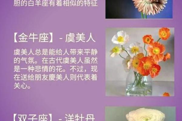 十二星座的专属花都有哪些呢
