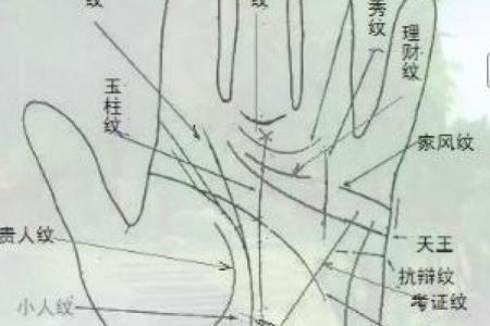 风水川字掌手相男人的命运解析