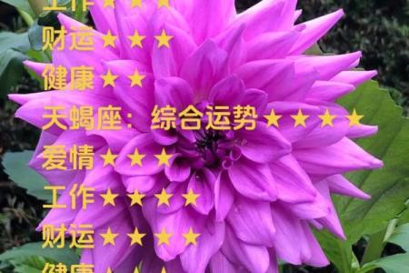天秤星座运势一周最新