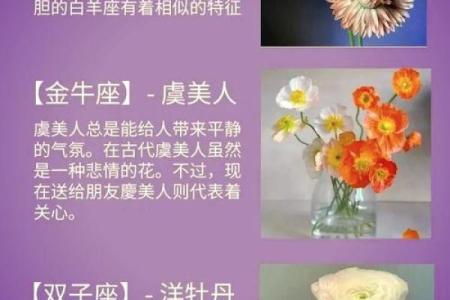 十二星座的专属花都有哪些呢