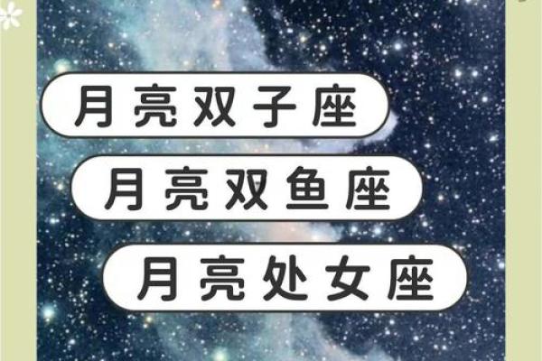 处女座的女人和哪个星座般配