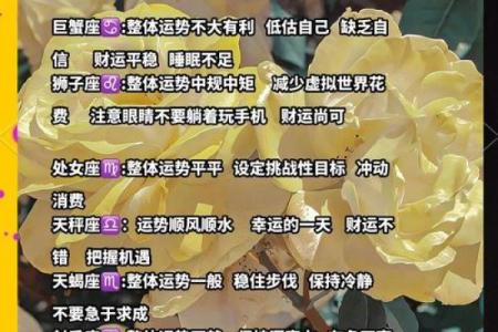 11月5号12星座运势