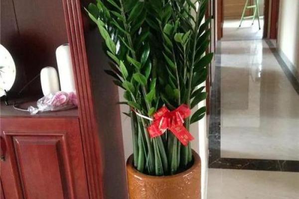 家里摆放假花会影响风水吗