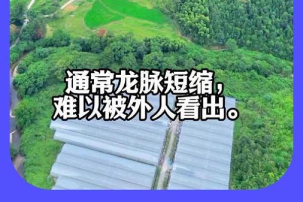 风水的水_房子南面有山北面有水好吗