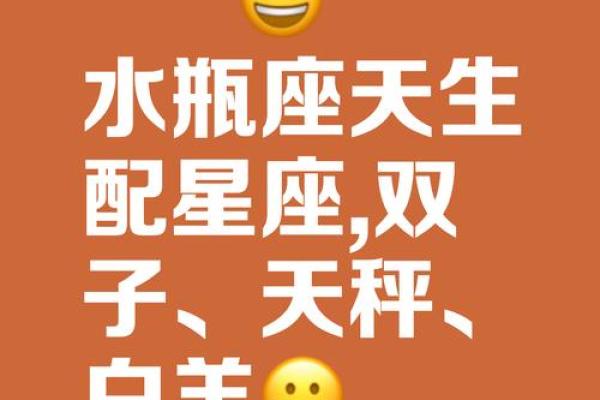 哪几个星座可以让水瓶座安静下来的