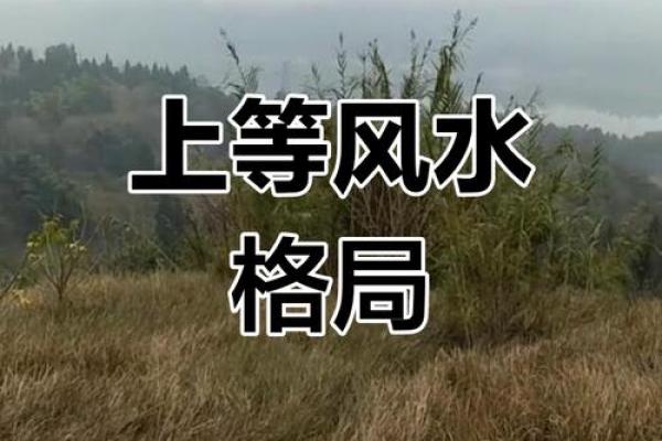 看风水宝地