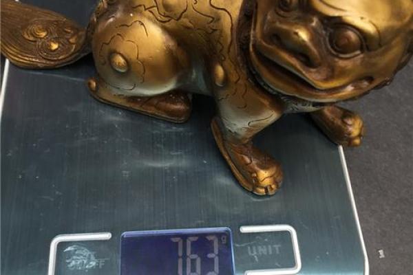 豹风水
