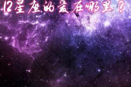 绝对不说我爱你 只会用行动表达的星座男