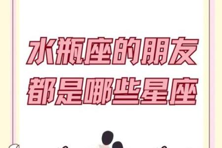 水瓶座和什么星座最适合做兄妹姐妹