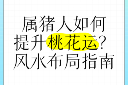 生肖风水布局如何利用生肖做好风水摆放
