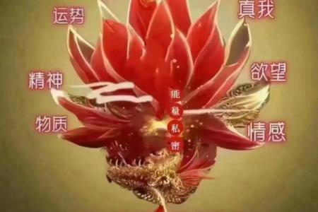 女孩会看风水