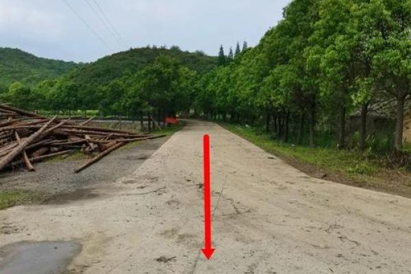给工厂、企业看风水的注意细节