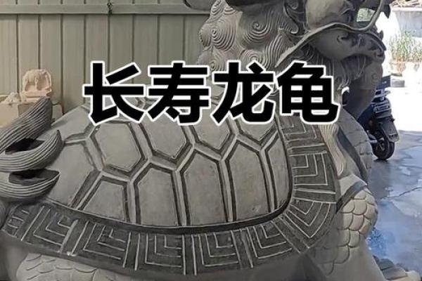 风水龙龟的摆放方法及禁忌用开光吗