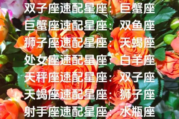 射手男心底最爱的星座是白羊女吗