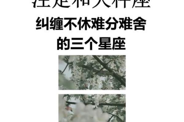 天秤座的女孩和哪个星座合适