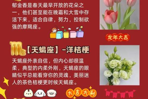 十二星座分别代表的花都有哪些呢