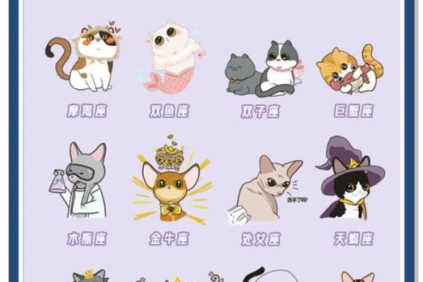 十二星座哪个星座养着猪最好