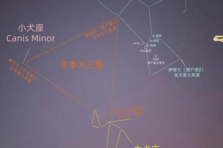 猎户座中最亮的星是哪颗星座