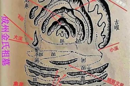 薜仁贵祖坟风水