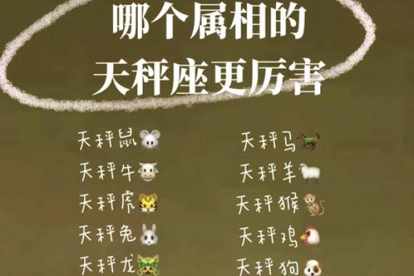 哪五大星座对应的是龙和凤