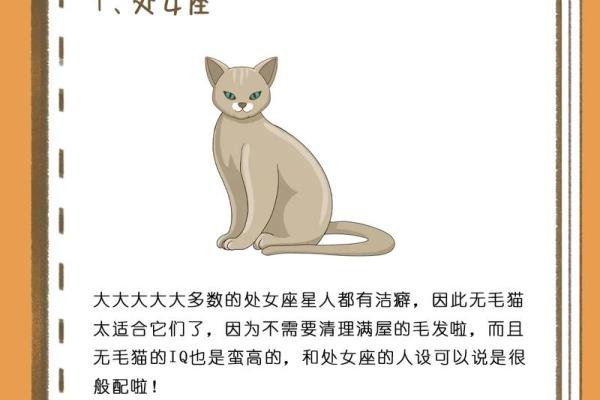 十二星座最适合什么功夫