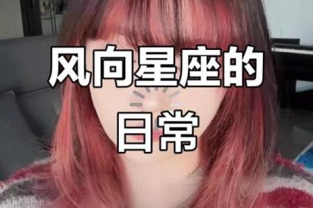风象星座的人会互相吸引吗