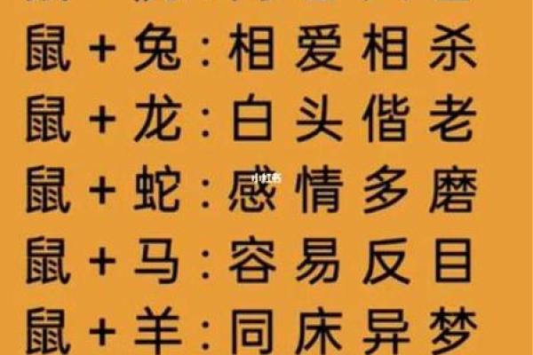 星座算命准还是属相算命准