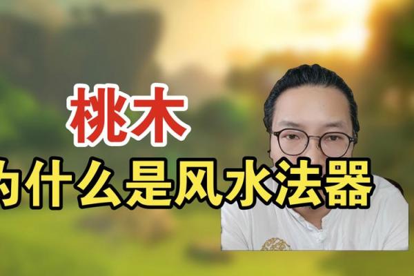 风水为什么戴桃木容易招鬼观点解释