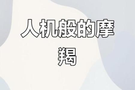 摩羯星座是工作狂吗