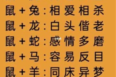星座算命准还是属相算命准