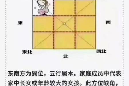 窗户的单数双数风水