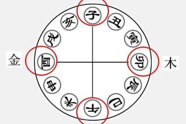 八字中的包局什么意思