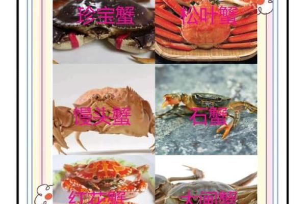 十二星座最适合哪种螃蟹