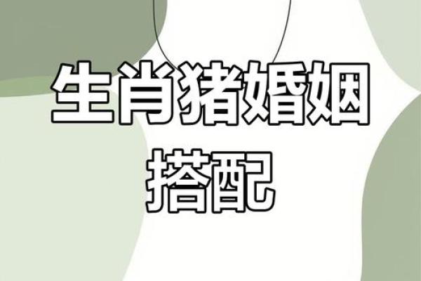 属相猪的性格特点及其与其他属相的配对