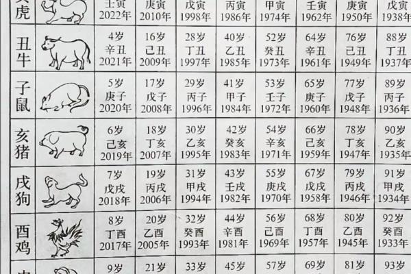 91年属什么生肖配对结婚 91年属什么动物