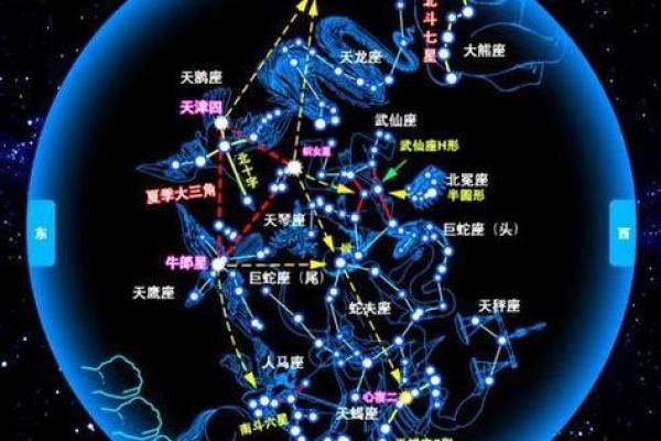 北极是指哪几个星座的