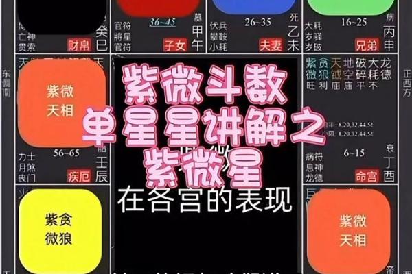 紫微斗数里怎样查小限视频 紫微斗数如何看大限？