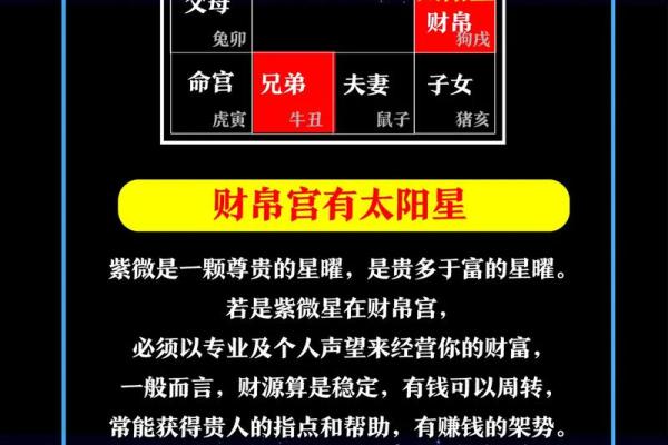 紫微斗数里怎样查小限视频 紫微斗数如何看大限？
